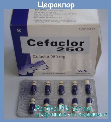 Cefaclor  -  7