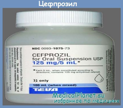 Cefzil    -  6