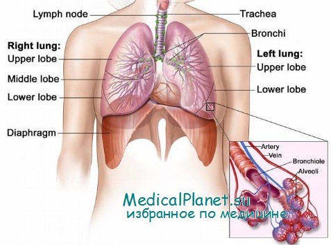 реактивность дыхательной системы у детей