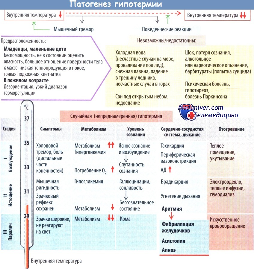 Схема патогенеза и клиники гипотермии