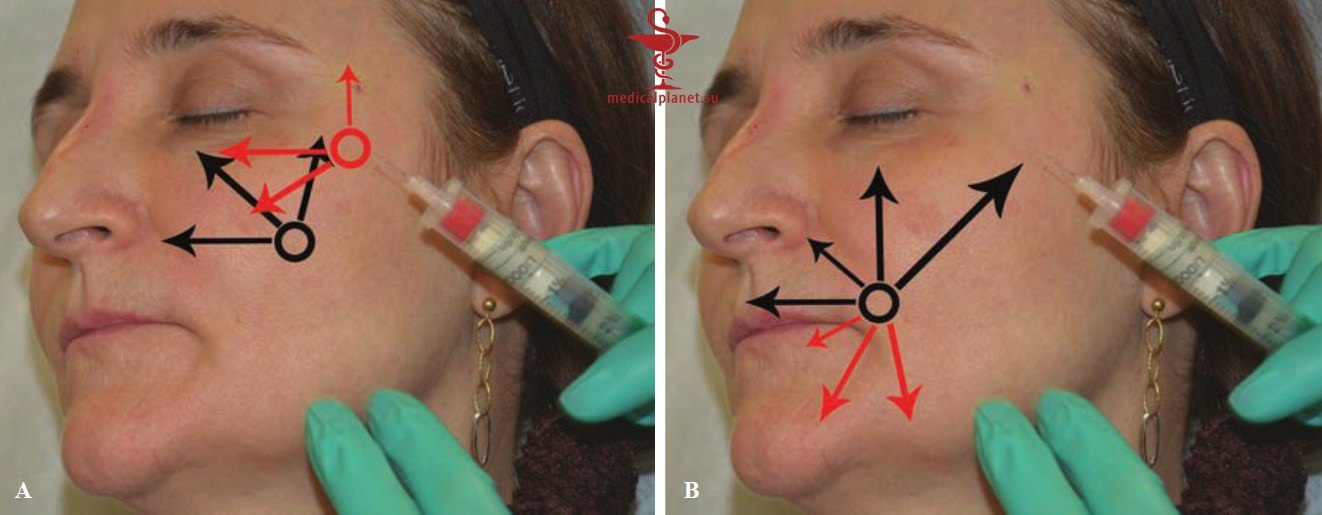 ������� �������� �������� (������������ �����������) � ������������ � �� ����������