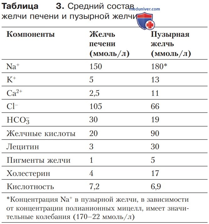 Переваривание и всасывание белков