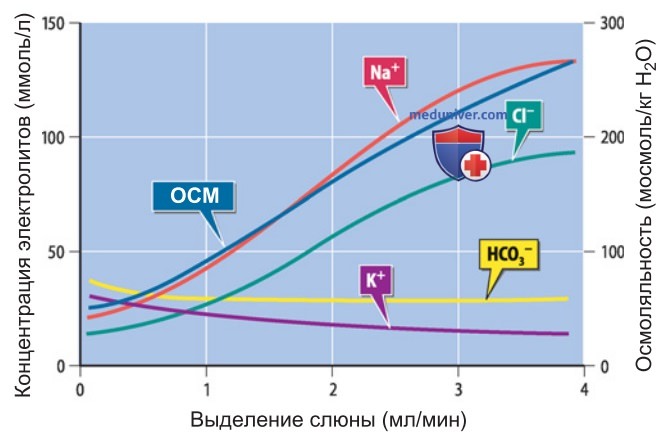 Слюна