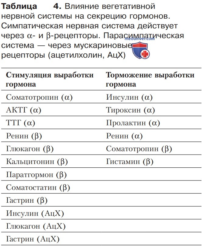 Гипоталамус и гипофиз