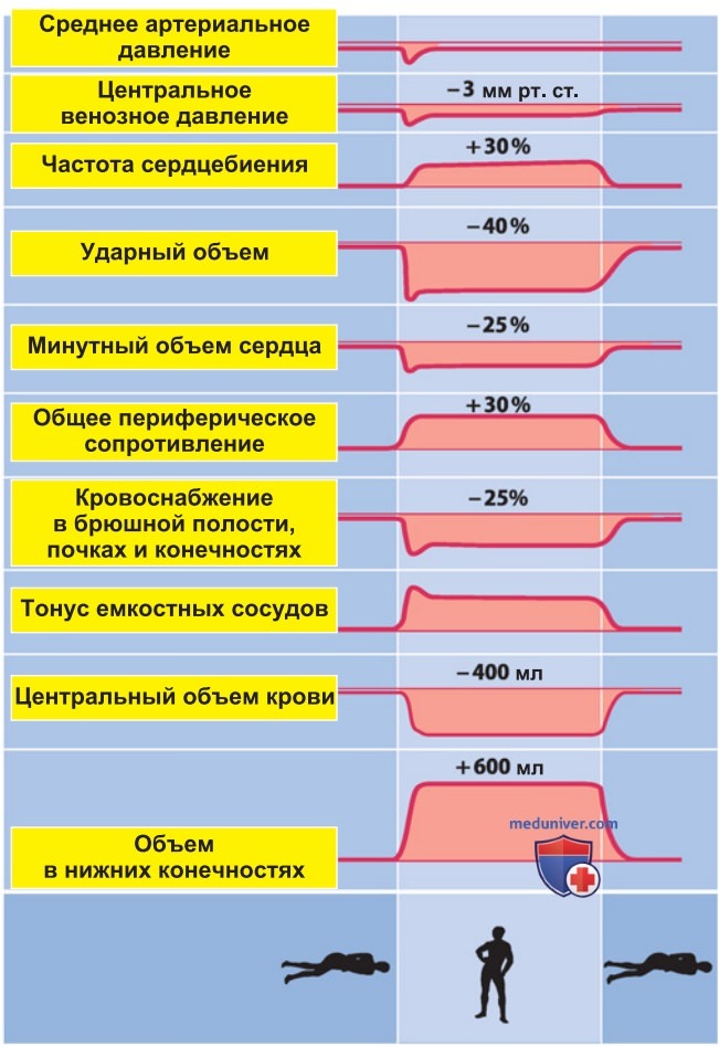 ��������� ������� �������������� � ���������� ��������