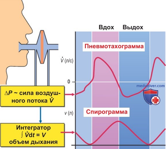 Вентиляция легких