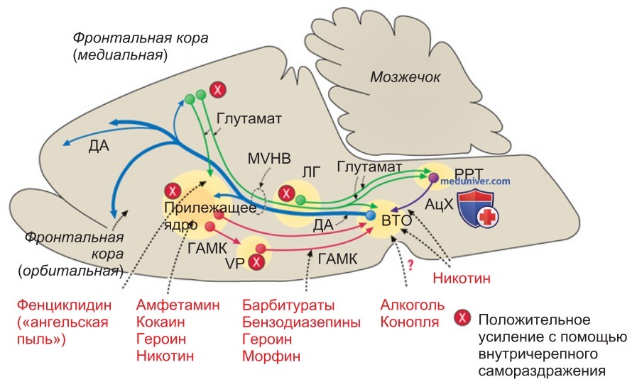 Радость и зависимость
