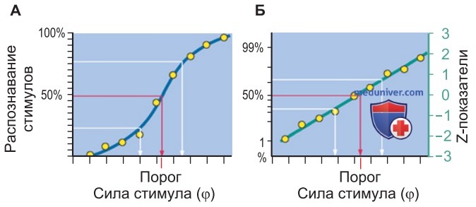 Интегративная сенсорная физиология
