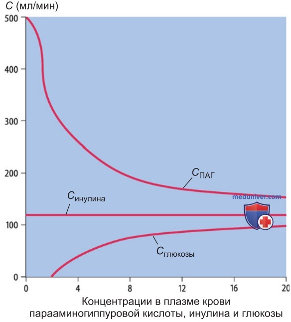 Количественные характеристики функционирования почек