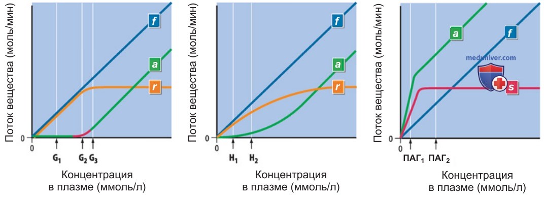 Количественные характеристики функционирования почек