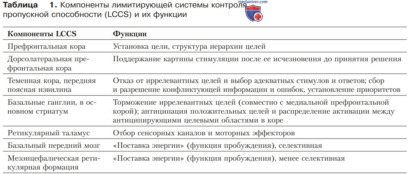 Формы внимания и его корковые механизмы
