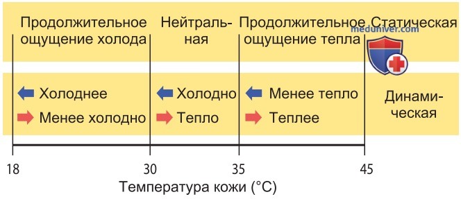 Терморецепция
