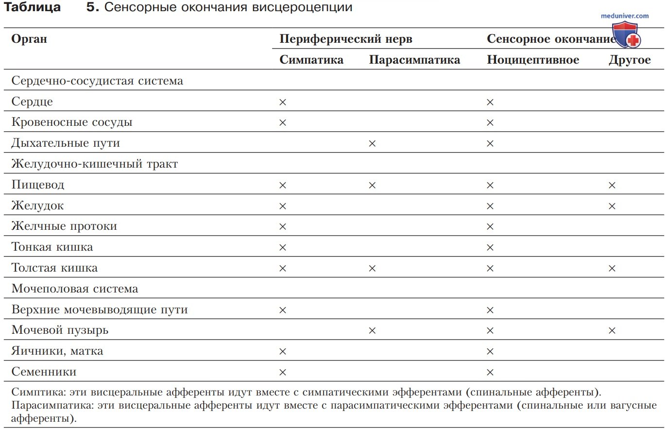 Висцерорецепция