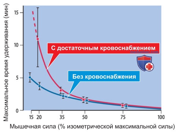 Специфическое влияние статической работы
