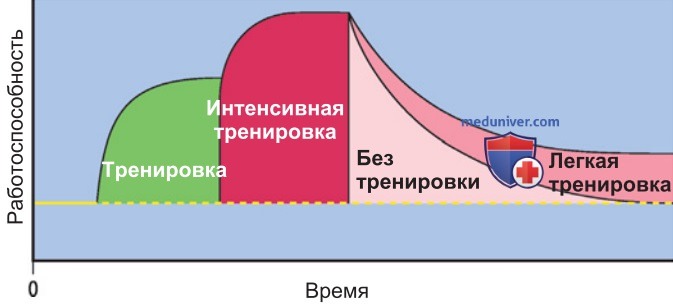 Моторное обучение и тренировка