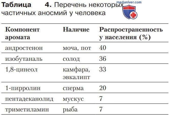 Распознавание запахов и его нейрофизиологические основы