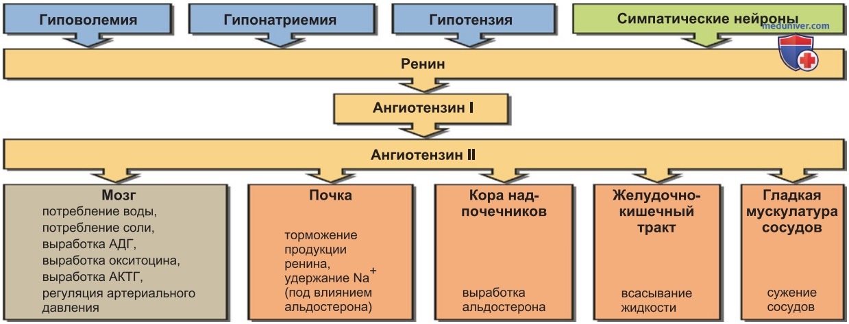 Регулирование потребления воды и соли