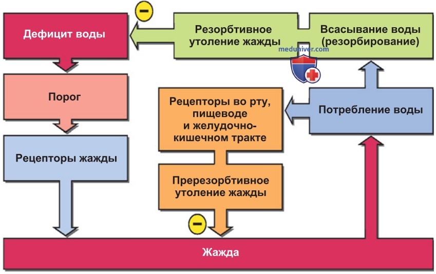 Регулирование потребления воды и соли