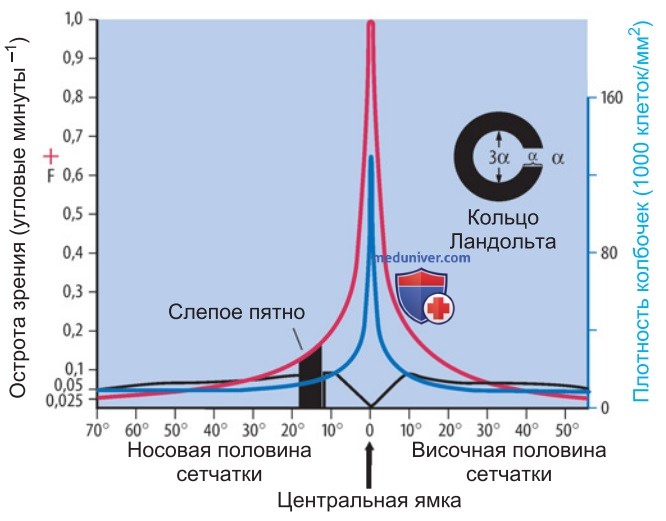 Клинически-диагностическое применение элементарной физиологии зрения