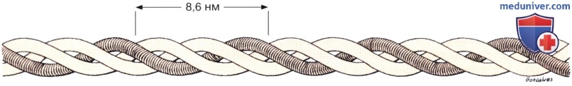 коллагеновые волокна