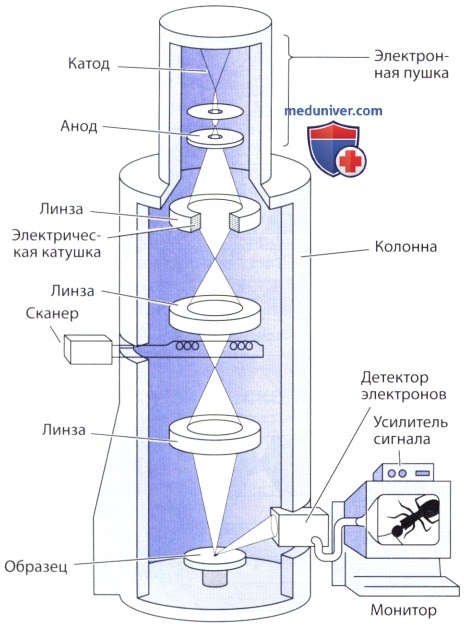 Схема цифрового микроскопа