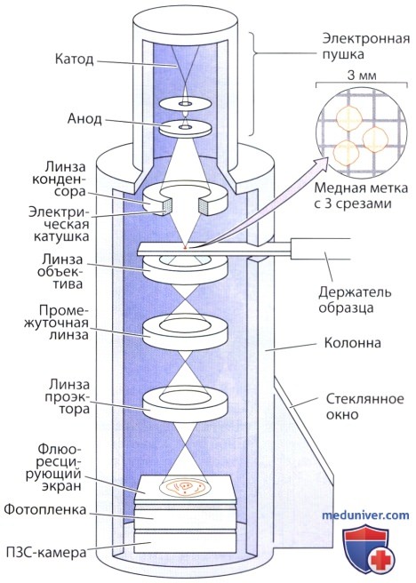 Схема атомно силового микроскопа