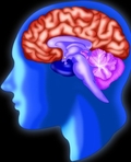 патология головного мозга