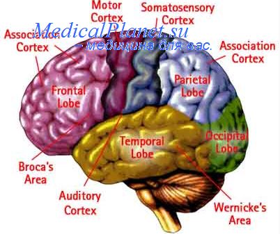 факторы приводящие к эпилепсии