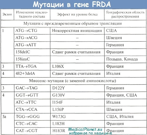Мутации в гене FRDA