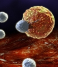 канцерогенез и иммунитет