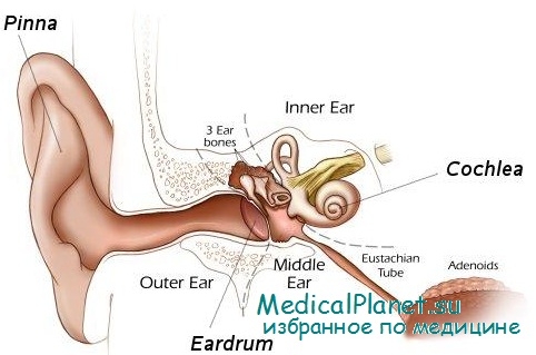 причины нарушения слуха