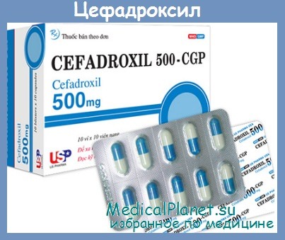 цефадроксил