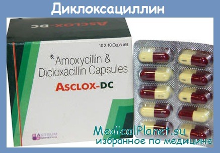 диклоксациллин