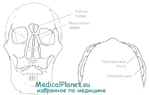 рентгенография лицевого черепа